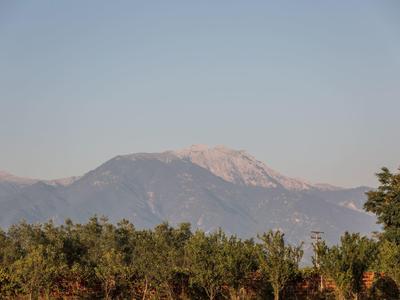 Berg mit schneebedecktem Gipfel, grünen Bäumen im Vordergrund und hellem Himmel.