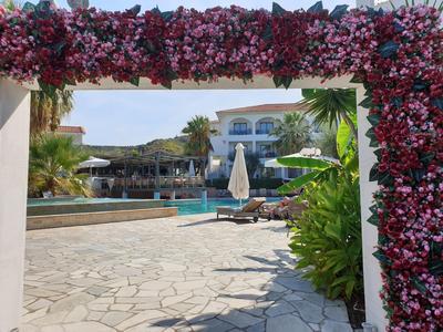 Vista di un'area piscina con lettini e arco di fiori in un giardino d'hotel.