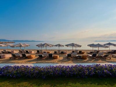 Beach with lounge chairs and umbrellas by calm sea under clear sky