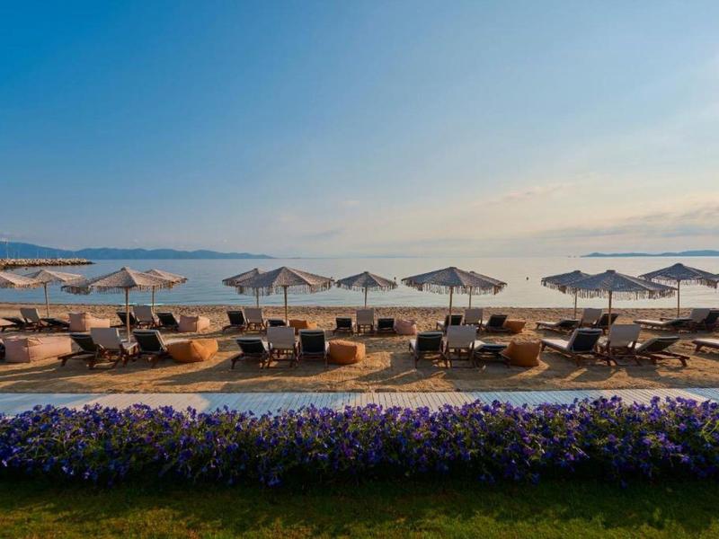 Several lounge chairs with umbrellas on a beach at sunset.