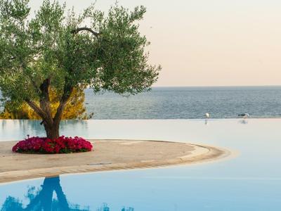 Un albero con fiori rossi su un bordo sabbioso accanto a una piscina a sfioro vicino al mare.