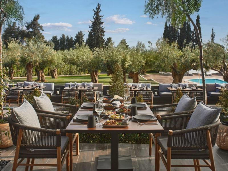 Essbereich im Freien mit gedecktem Tisch und Blick auf Gras und Bäume