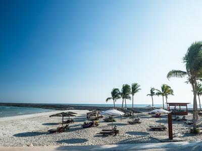 Beach with sun umbrellas and palm trees under a blue sky by the sea