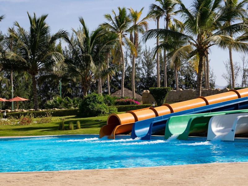 Vier bunte Wasserrutschen münden in einen Pool, umgeben von Palmen und grünem Rasen.