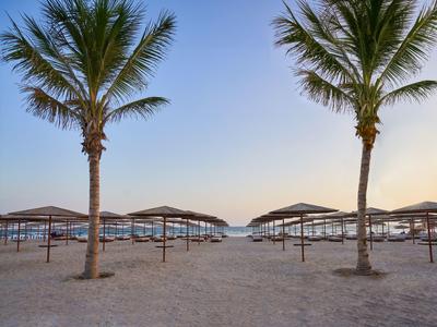 Spiaggia con palme e ombrelloni sotto un cielo limpido.