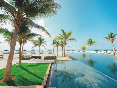 Infinity pool with palm trees and sea view under clear sky.