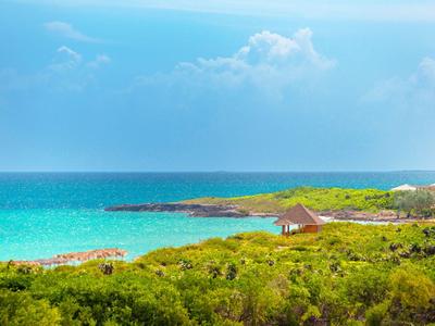 Küste mit klarem blauem Wasser und grüner Vegetation bei sonnigem Himmel.