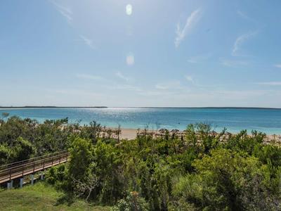 Blick auf das Meer mit blauem Himmel, grünen Büschen und einem hölzernen Steg im Vordergrund.