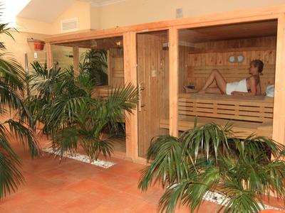 Holzsauna mit Glasfenstern und mehreren grünen Pflanzen in einem Raum mit terrakottafarbenem Boden.