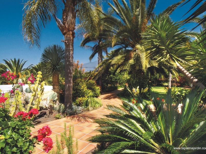 Lush tropical garden with palm trees and colorful flowers under a blue sky