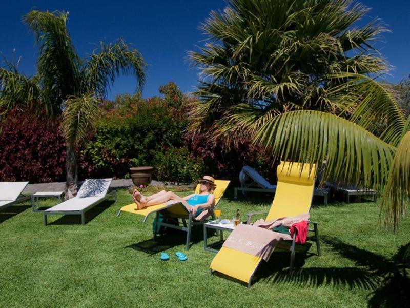 Sunny garden area with lounge chairs and palm trees under a blue sky.