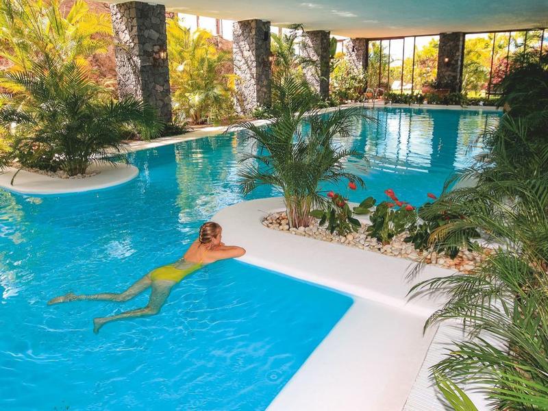 Indoor pool with palm trees, a person swimming, and large windows overlooking outside.