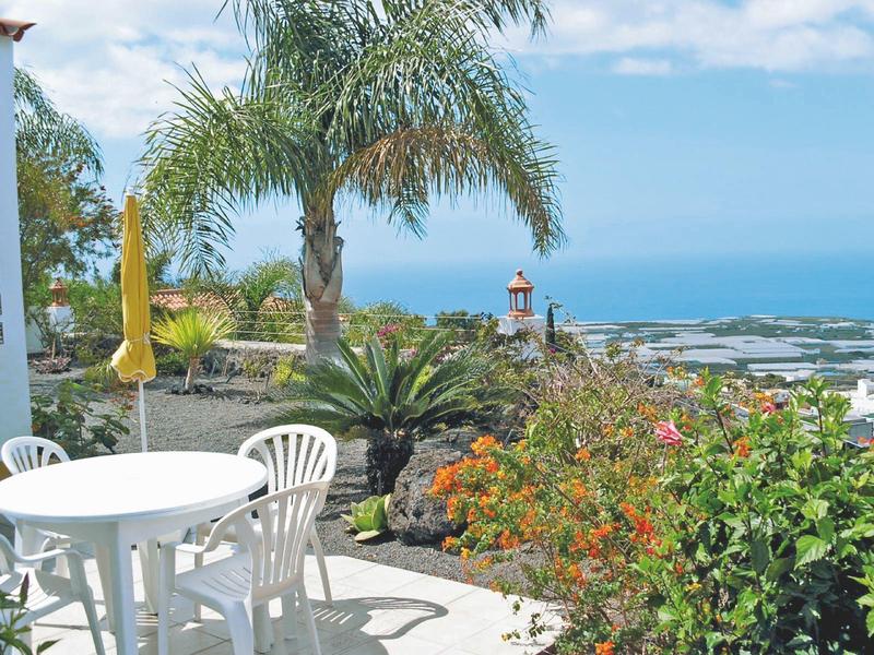 View from a terrace with white table and chairs overlooking palm trees and the sea in the background.