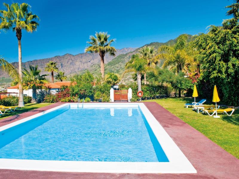 Swimming pool with blue water, surrounded by lounge chairs and palm trees under clear sky.