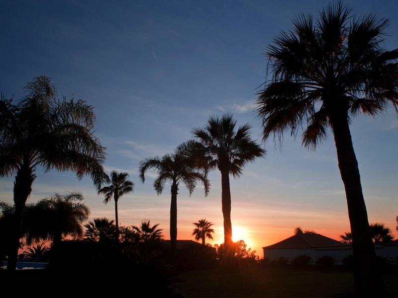 Sunset with palm trees and house silhouettes in the foreground