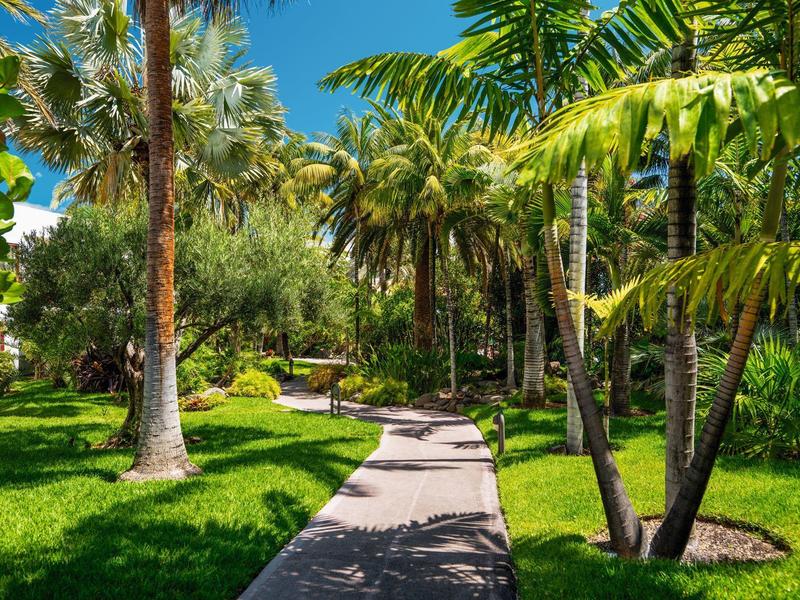Un camino pavimentado atraviesa un jardín exuberante con palmeras y césped verde bajo un cielo azul claro.