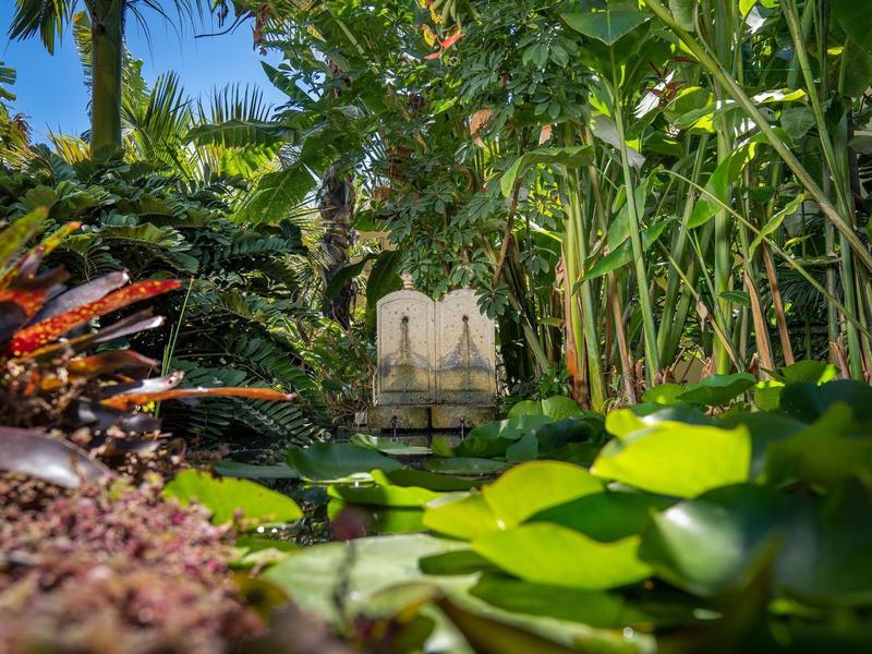 Two chairs at the end of a pond surrounded by lush green vegetation and water plants.