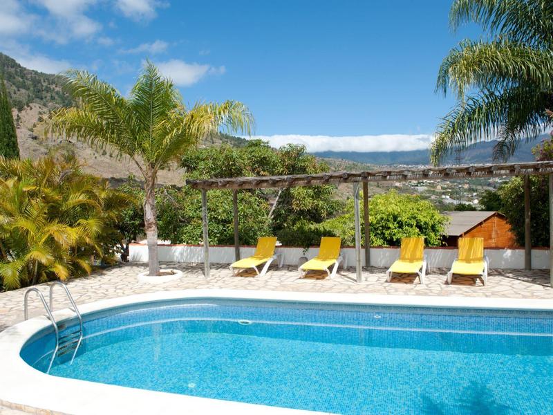 Piscina del hotel con agua azul, tumbonas amarillas y palmeras tropicales al fondo.