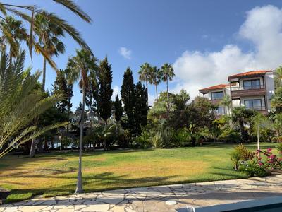 Duży ogród z palmami i nowoczesnymi budynkami pod niebieskim niebem w hotelu.