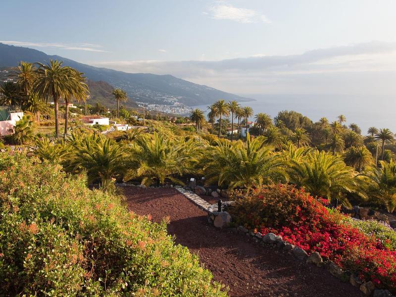 Panoramiczny widok na bujny ogród z palmami i widokiem na morze w oddali.