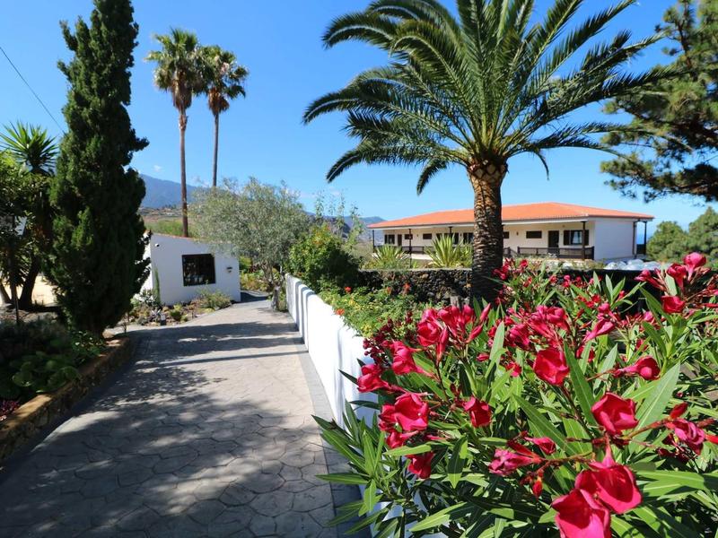 Un sentiero soleggiato con palme e fiori rossi conduce a un edificio su due piani con tetto rosso.