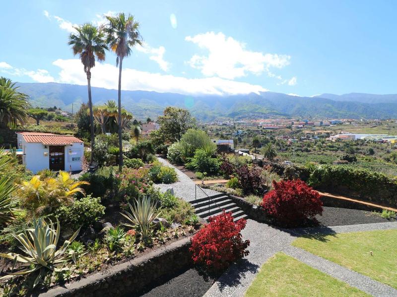 Giardino con palme e vista sulle montagne in una giornata di sole