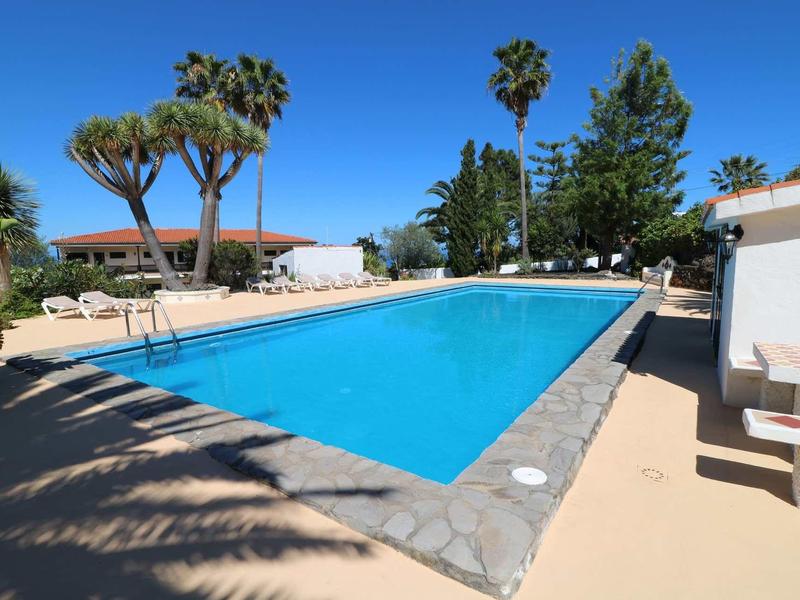 Grande piscina rettangolare con palme e lettini sotto un cielo azzurro limpido.