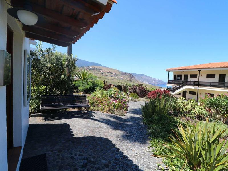Vista di un sentiero acciottolato ombreggiato con piante verdi e una casa sotto un cielo blu.