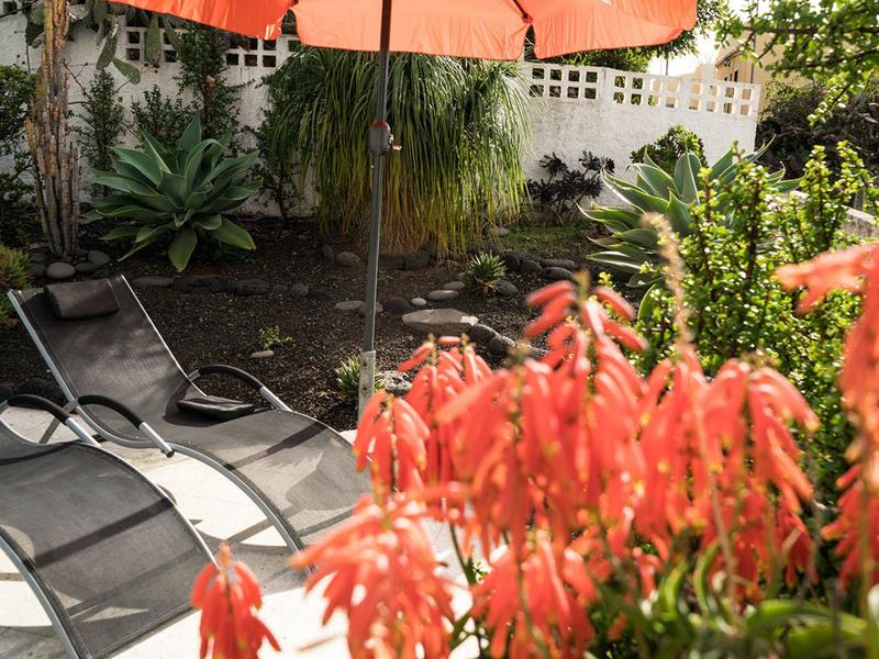 Lehátka pod slunečníkem vedle kvetoucích rostlin v zahradě.