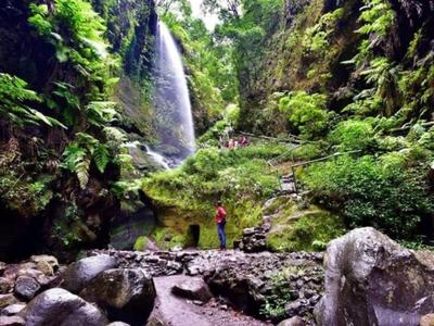 Wanderer betrachten einen Wasserfall in einem üppig grünen, felsigen Tal.