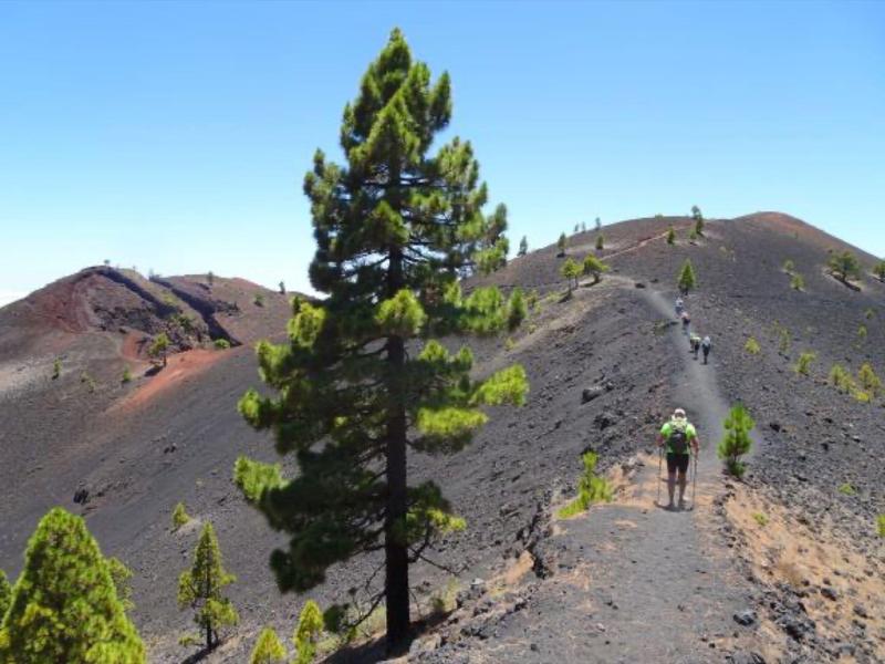Wędrowcy na szlaku wzdłuż zbocza wulkanu z zielonym drzewem i niebieskim niebem.