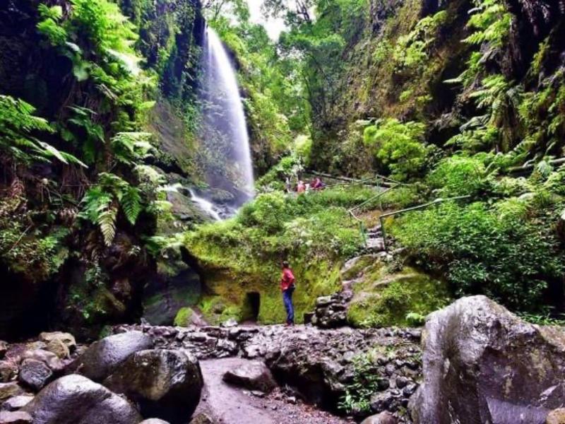 Wędrowiec stojący przed wodospadem w bujnej, zielonej, skalistej dolinie.