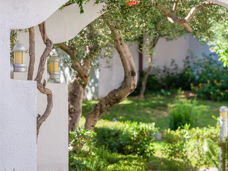 Ein Gartenweg mit Büschen und Bäumen, der durch einen weißen Bogen führt.