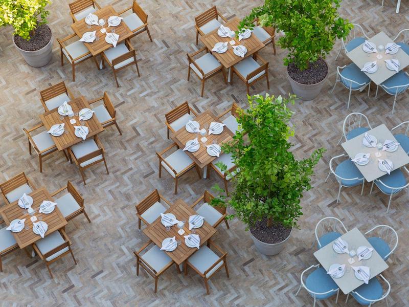 Top view of a terrace with several set tables and chairs among large plants.