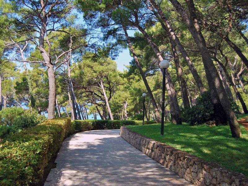 A pathway runs through a wooded park with green lawns and tall trees under a clear sky.