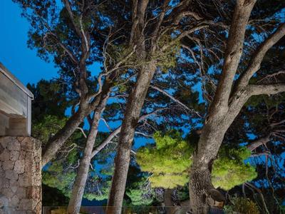 Terrasse mit Steinsitzbank, Kissen und großen Bäumen bei Abenddämmerung unter blauem Himmel.