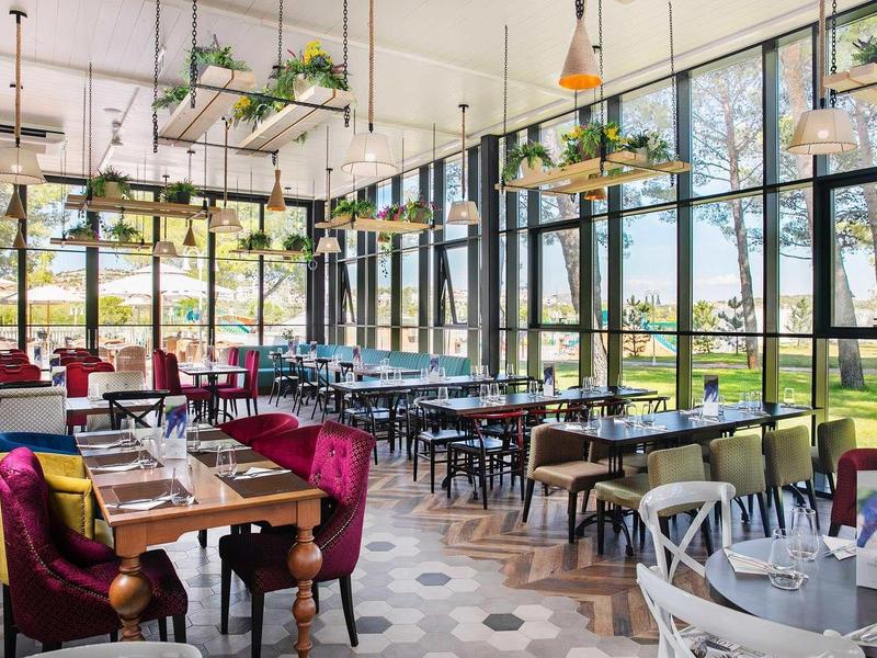 Helles Restaurant mit großen Glasfenstern, bunten Stühlen, Holztischen und hängenden Pflanzen.