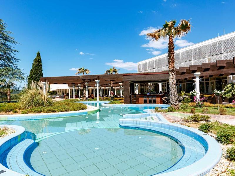 Moderner Außenpool mit blauen Fliesen, Palmen und begrünten Flächen unter klarem blauem Himmel.