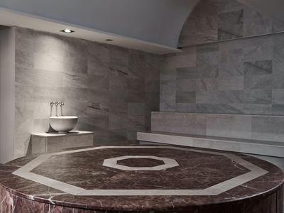Eleganter Wellnessbereich mit Marmorbecken und Treppen aus grauem Stein.