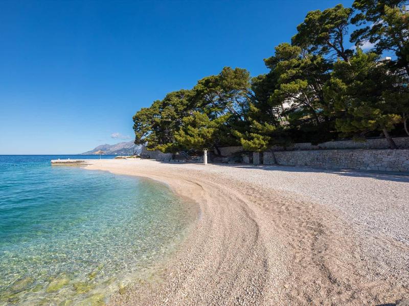 Heldere blauwe lucht en rustige zee bij een kiezelstrand met bomen aan de rand.