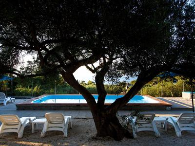 Piscine extérieure avec chaises longues sous un grand arbre au crépuscule.