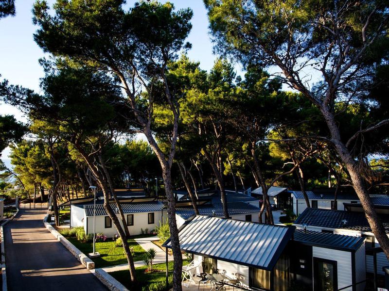 Bungalows parmi de grands arbres dans un complexe de vacances ensoleillé.