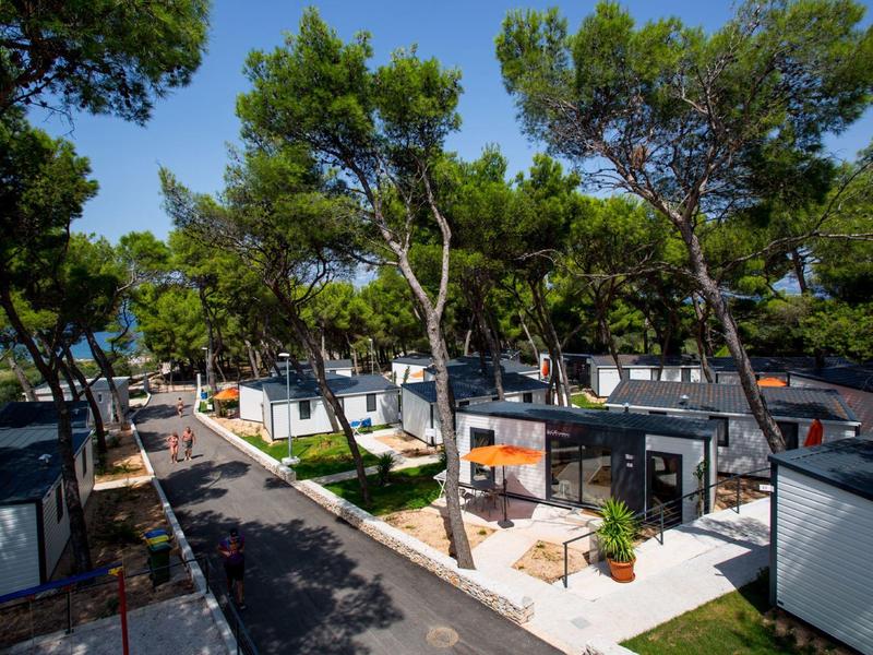 Maisons de vacances modernes parmi de grands pins dans un parc tranquille.