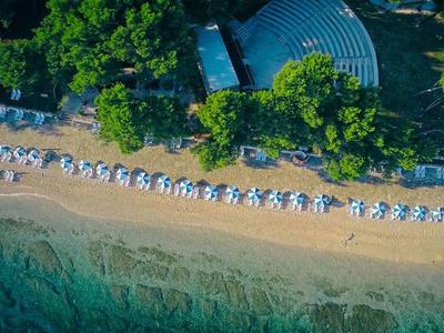 Zdjęcie z lotu ptaka plaży z parasolami, leżakami i czystą wodą obok zielonego lasu.
