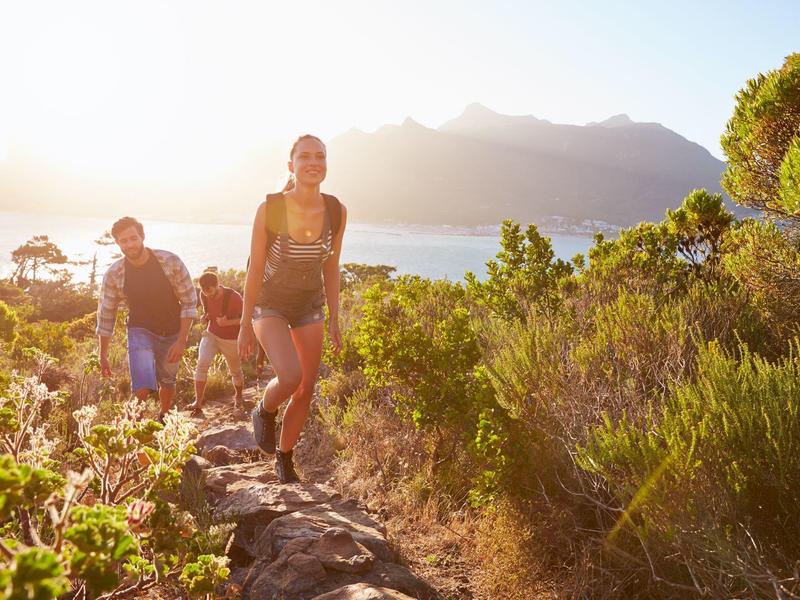 Zwei Wanderer steigen auf felsigem Pfad, umgeben von grüner Vegetation und Bergen im Hintergrund.