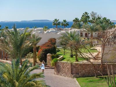 Ein idyllischer Hotelkomplex mit weißen Bungalows, Palmen und Meer im Hintergrund bei klarem Himmel.
