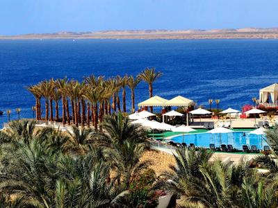 Blick auf einen tropischen Poolbereich mit Palmen, Liegen und Blick auf das blaue Meer.