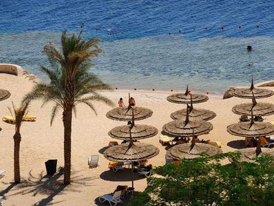 Spiaggia con sabbia, ombrelloni e palme vicino al mare blu calmo.