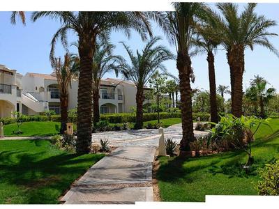 Un giardino dell'hotel soleggiato con palme, erba verde e un sentiero lastricato tra gli edifici.