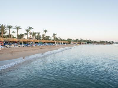 Strand mit Liegestühlen, Palmen und klarem Meer an einem ruhigen Urlaubsort.